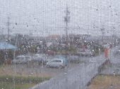 写真：窓ガラスに雨の水滴の画像
