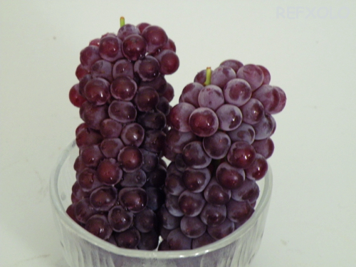 写真：delaware（grape）の画像