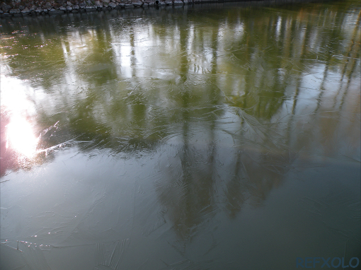 公園の池の氷