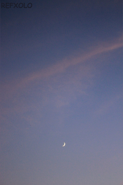 写真：西の空に下弦の月