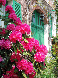 写真：石楠花とモネの家の画像