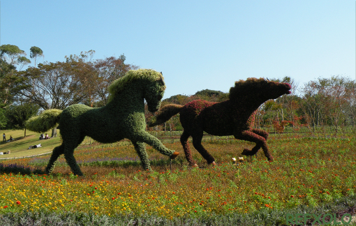 写真：野を駆ける2頭の馬（木を植えた男の一部）の画像