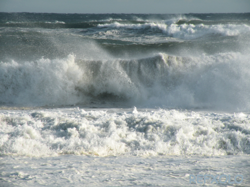 写真：遠州灘の波しぶきの画像