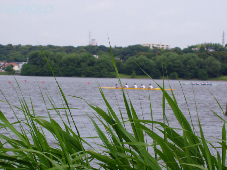写真：rowingの画像