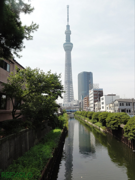 写真十間橋から見た東京スカイツリーの画像