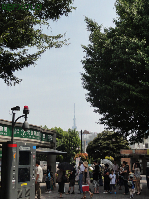 上野公園から東京スカイツリー