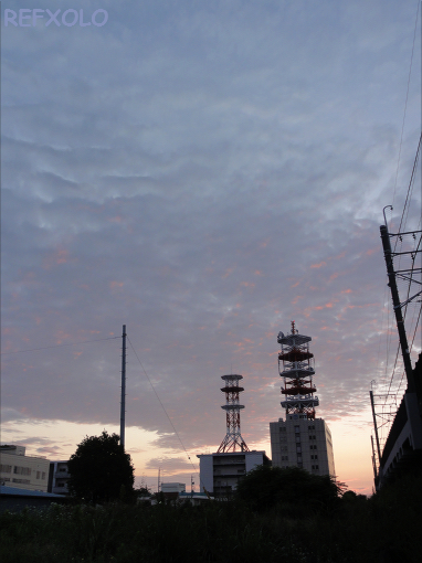 写真夜明けのいわし雲の画像